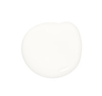 Colourtrend Brilliant White Interior Matt Colour Swatch