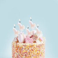 Enchanted Unicorn Candles - Pack of 5