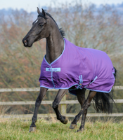 Freedom Turnout 300 125 Purple/B