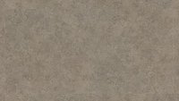 EXPONA CONTROL 7504 WARM GREY C