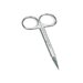 Straight stainless steel scissors