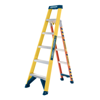 Werner, Leansafe X3 Fibreglass Combination, 3 In 1