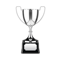30cm Swatkins Replica Nickle Plated Cup