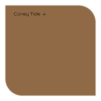 Weathershield Coney Tide Colour Swatch