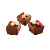 Easter carres - praline with bresilienne in milk choc 14g - 1.47kg