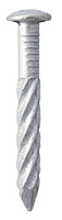 Drive Screw Nails 65mm 1kg Galvanised