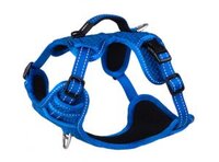 Rogz explore dog harness