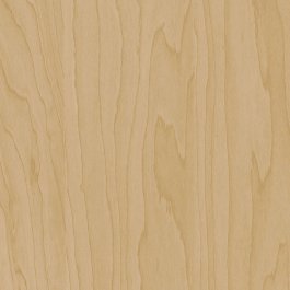 Gold Beige Birch - CT20