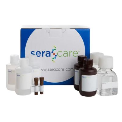 Protein Detector TMB Western Blotting Kit