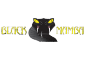 Black Mamba
