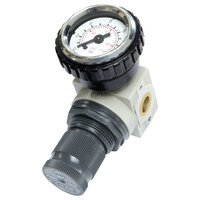 PRESSURE REGULATOR 0 to 10 BARS (connection 1/4 gas)