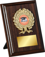 12.5cm Walnut Plaque Gold Trim