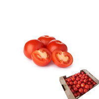 Tomatoes (Loose)-(57/67mm-6kg)