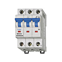 MCB, BMS6 Series, 3-pole, Type B, 10A