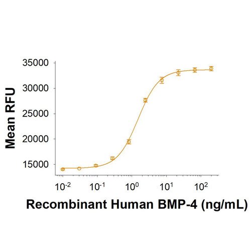 Protein, Recombinant Human BMP-4 Protein, 50 &micro;g