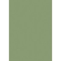 Farrow & Ball Yeabridge Green Colour Swatch