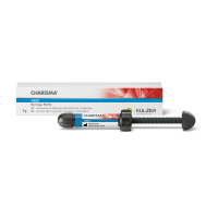 Kulzer Charisma ABC Syringe - 4g C2 - DMI Dental Consumables Ireland - Next Day Delivery