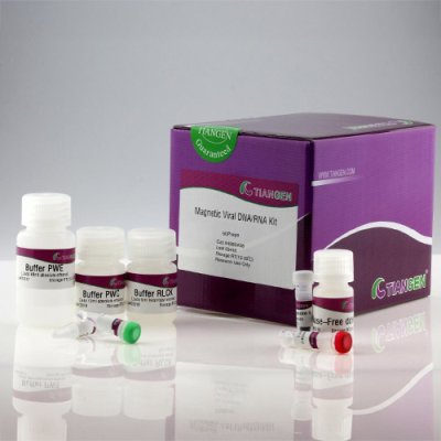 Viral DNA/RNA Extraction Kit
