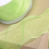 Wired Organza Ribbon Mint Green - 70mm x 25m