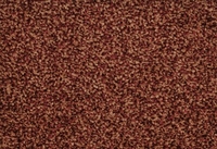 SPECTRUM TONALS 440620 4M