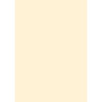 Farrow & Ball Tallow Colour Swatch