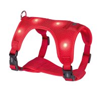 Nobby Flash Mesh LED Harness Red