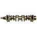CRANKSHAFT C W GEAR