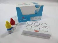 Salmonella Test Kit Latex Agglutination