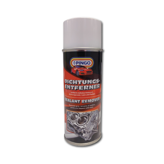 Gasket Remover