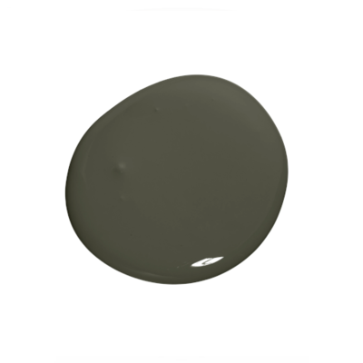 Colourtrend  Weather -  Natterjack 100ml