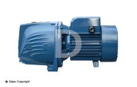 PEDROLLO JSW 2BX-N SELF PRIMING JET PUMP (1.25HP)