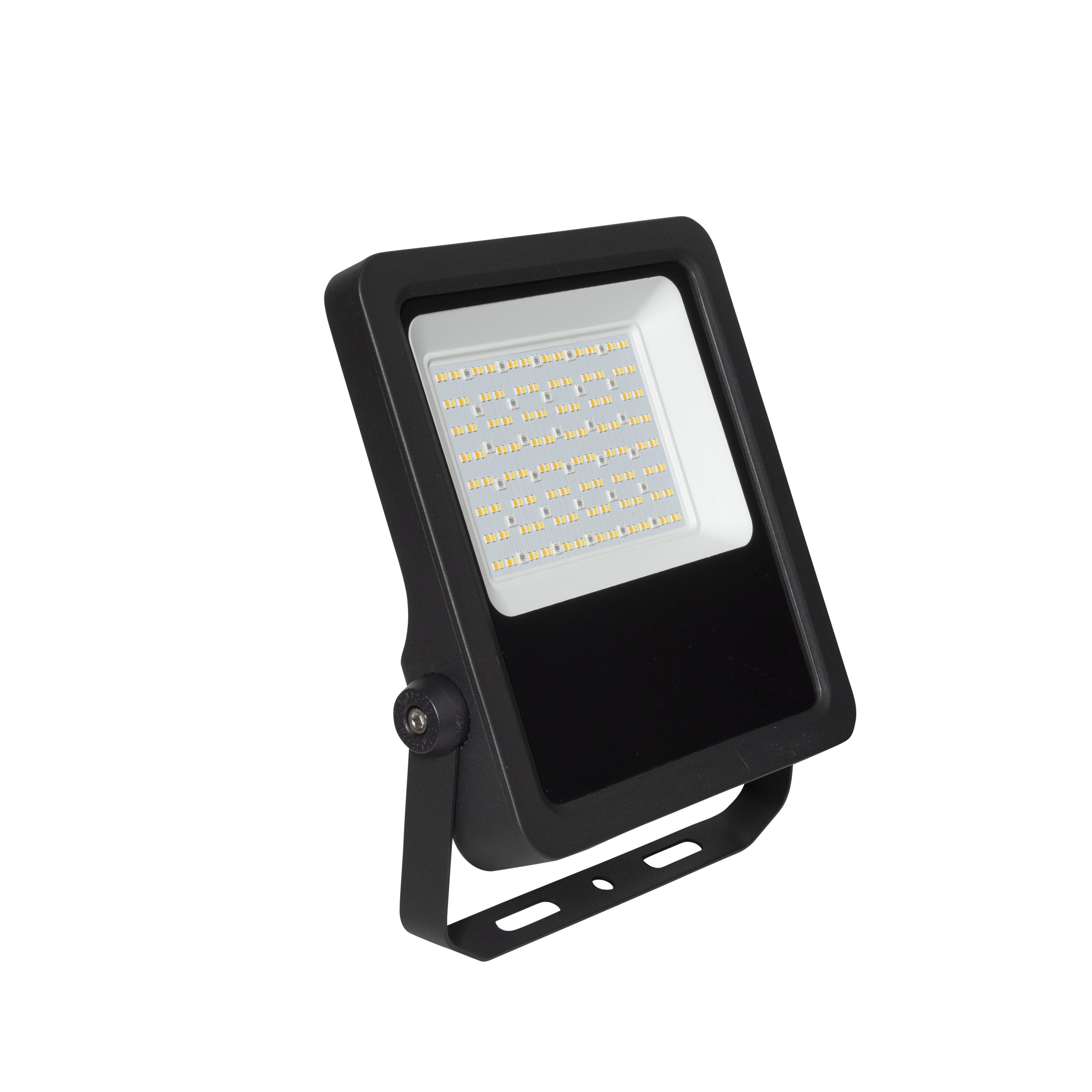 SELEST 50W Floodlight IP66 RGB Tuneable White c/w 1m flex Black