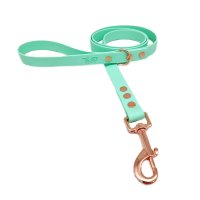 Trinkety Paws City Collection Biothane Dog Lead Seafoam 120cm 16mm