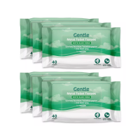 Aloe Vera Flushable Wipes x 40