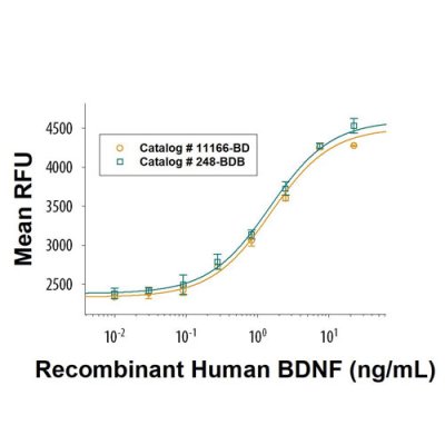 Protein, Recombinant Human BDNF Protein, 50 &micro;g