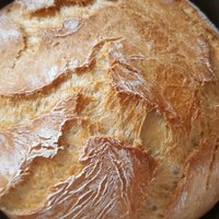 Twisted Rustic Sourdough 18x450gr (code:206900)