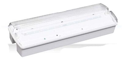 EVOLEC NM/M 3.2W IP65 EMG BULKHEAD    ( BOX 12 ) | BH1A1/M/NM