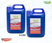 BIG DOM! THICK BLEACH 2x5ltr