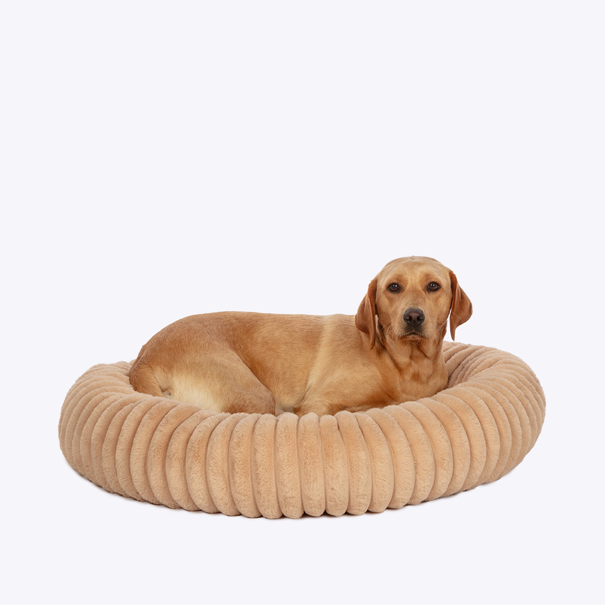 Danish Design Essentials Plush Donut Taupe 80cm