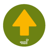 Circular Canteen Arrow Vinyls x4 Types 300x300mm