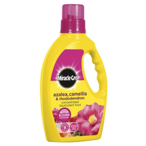 MiracleGro Ericaceous Plant Food