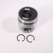 PISTON BODY C/W CLIPS