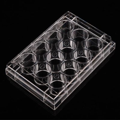 Cell Culture Plates
