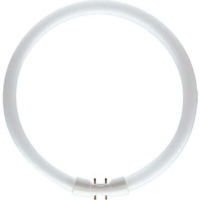 PHILIPS  55W TL5 COL 83 CIRCULAR TUBE 4200 LM