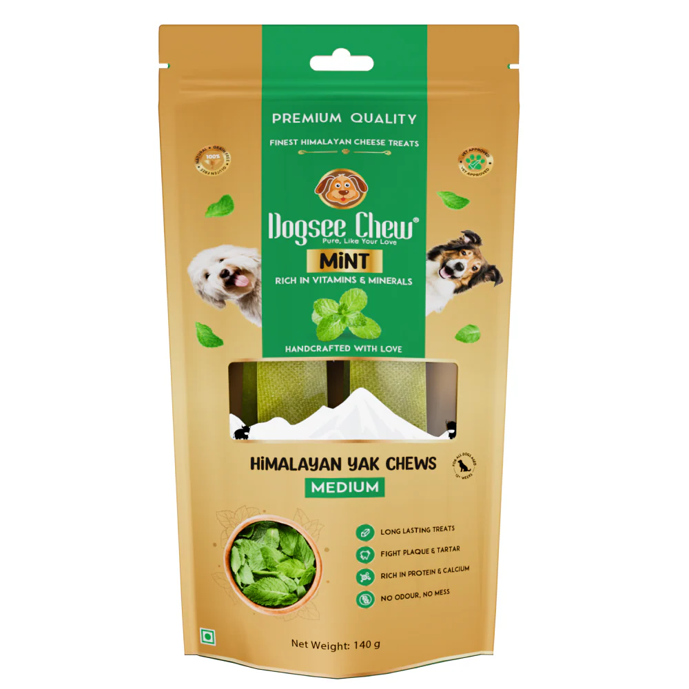 Dogsee Chew Dental Dog Chew Bars Mint Medium 2pk 10x140gm