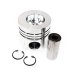PISTON & PIN