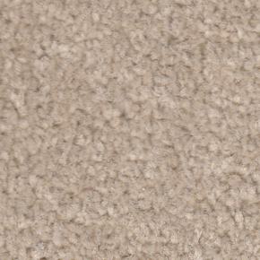 APOLLO PLUS 4M CASHEW