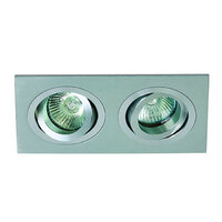 One Light Square Twin Adjustable Downlight