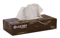 Lucart EcoNatural Facial Tissues 100 sheets x 40