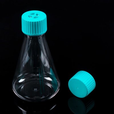 Erlenmeyer Flask